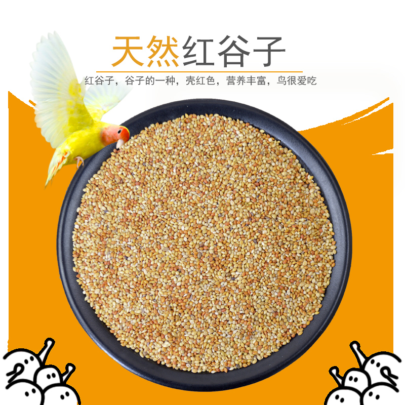 包邮虎皮鹦鹉饲料鸟食玄凤牡丹粮食文鸟黄雀带壳小米红谷子5斤在类目 宠物/宠物食品及用品, 鸟类及用品, 鸟食中 - 来自Buy2taobao.com提供专业的淘宝代购服务