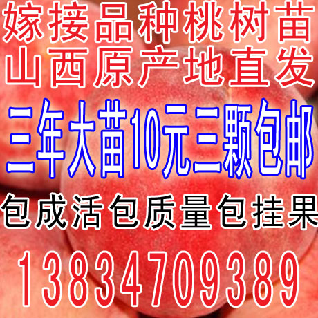 桃樹苗春雪桃嫁接蟠桃樹苗水蜜桃苗盆栽桃樹果樹苗突圍桃南方北方在類目 鮮花速遞/花卉仿真/綠植園藝, 花園植物/行道樹/果樹, 果樹中 - 來自Buy2taobao.com提供專業的淘寶代購服務