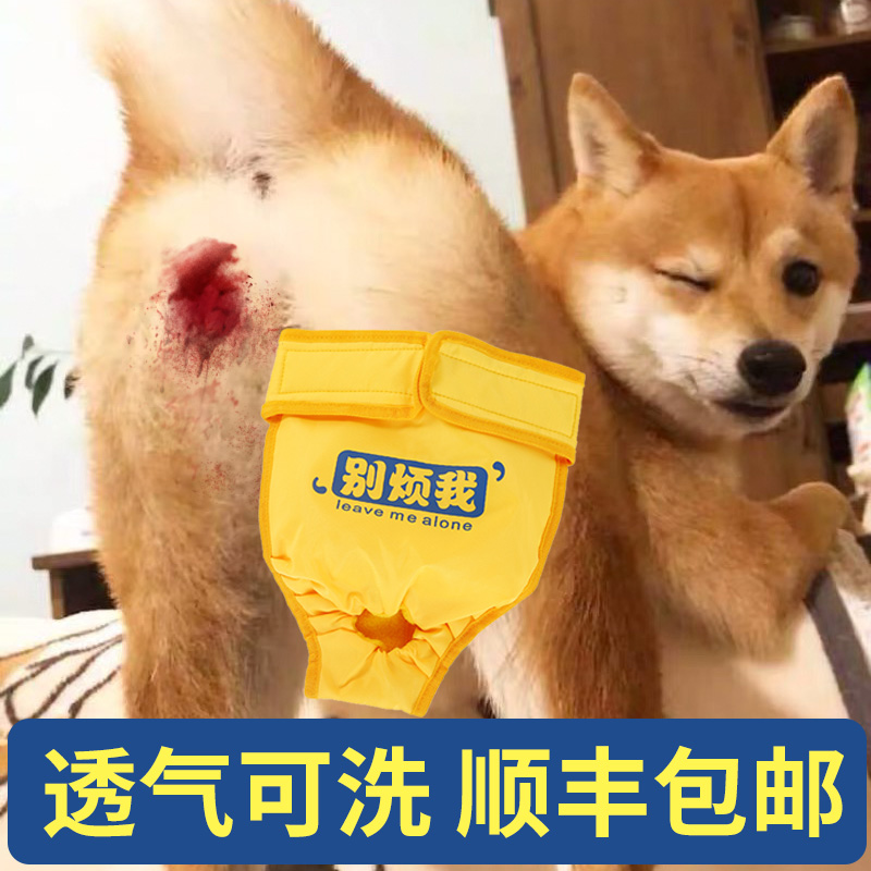 大狗狗生理褲金毛拉布拉多月經褲寵物安全褲母狗衛生巾大型犬內褲在類目 寵物/寵物食品及用品, 寵物服飾及配件, 生理褲中 - 來自Buy2taobao.com提供專業的淘寶代購服務
