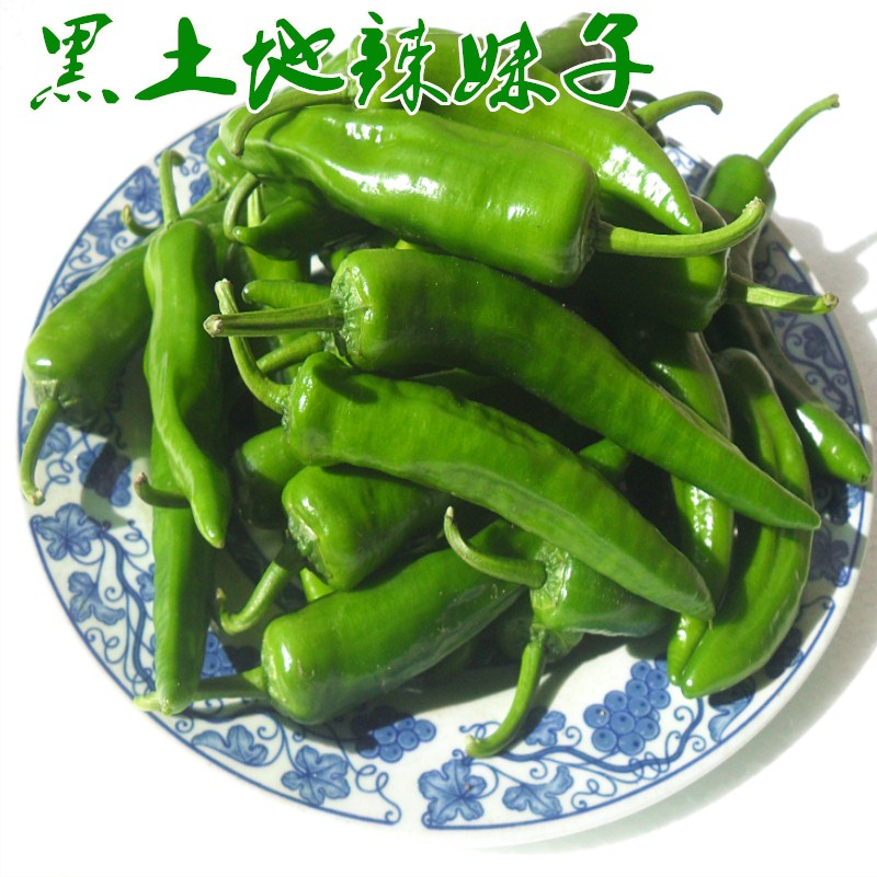 东北辣妹子 新鲜辣椒农家自种特辣辣椒蘸酱菜小辣椒现摘3斤装包邮|msdalam kategori daging perikanan/Buah-buahan segar dan sayur-sayuran/dimasak, sayur-sayuran segar/Vegetable Products, sayur-sayuran segar, lain - dari Buy2taobao.com untuk memberikan perkhidmatan ejen Taobao profesional membeli
