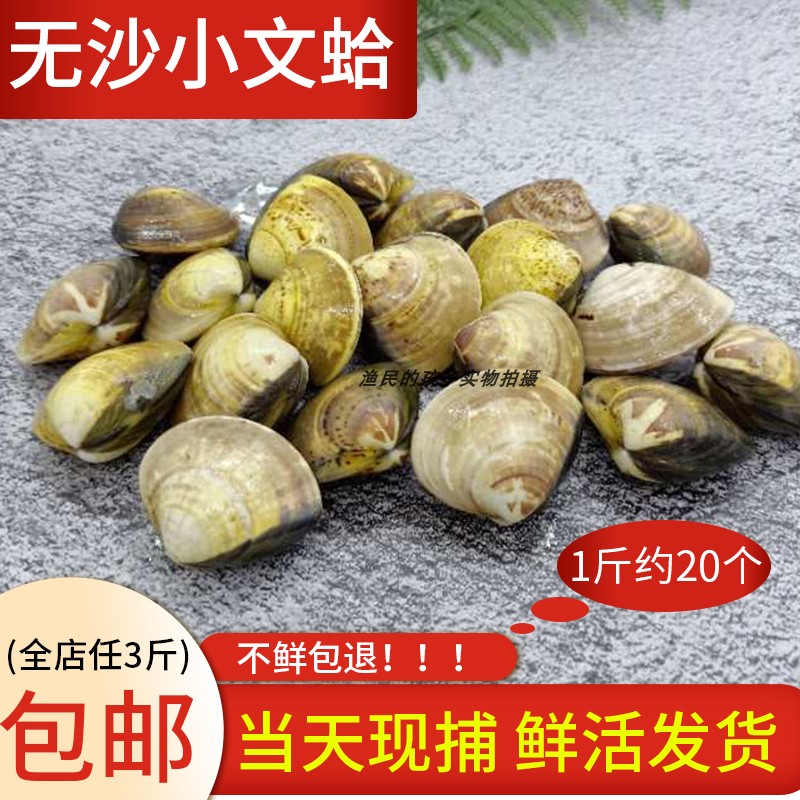 Fisherman children wild Seafood That day Fishing Fresh Clams Clams Big flower A US Shellfishin the Aquatic meat/Fresh fruits and vegetables/Cooked , Seafood/Aquatic/Product , Shellfish , Shellfish Products category - from Buy2taobao.com to provide professional Taobao agent buy service