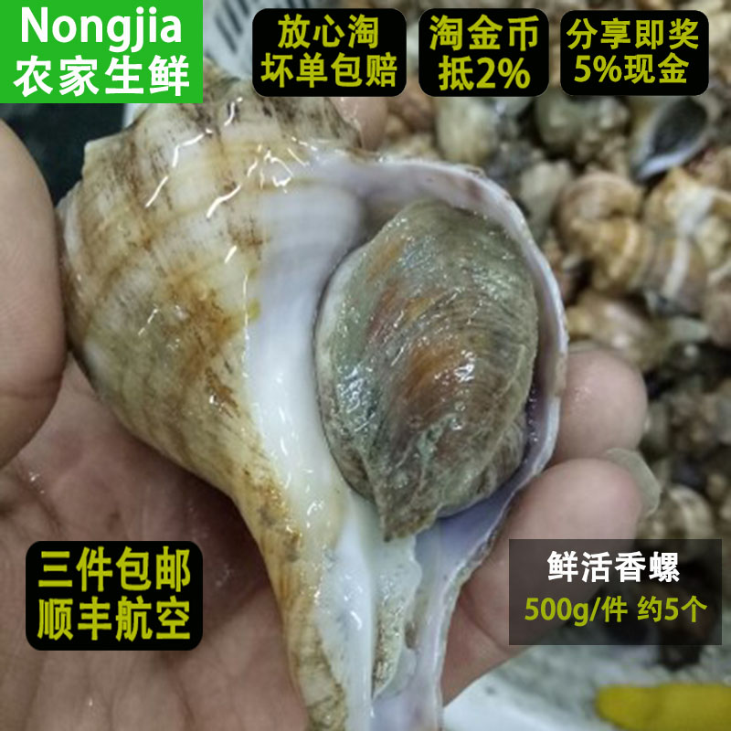 【次日达死包赔】野生海捕活香螺鲜活大海螺活体发货海鲜水产贝类在类目 水产肉类/新鲜蔬果/熟食, 海鲜/水产品/制品, 贝类, 贝类制品中 - 来自Buy2taobao.com提供专业的淘宝代购服务