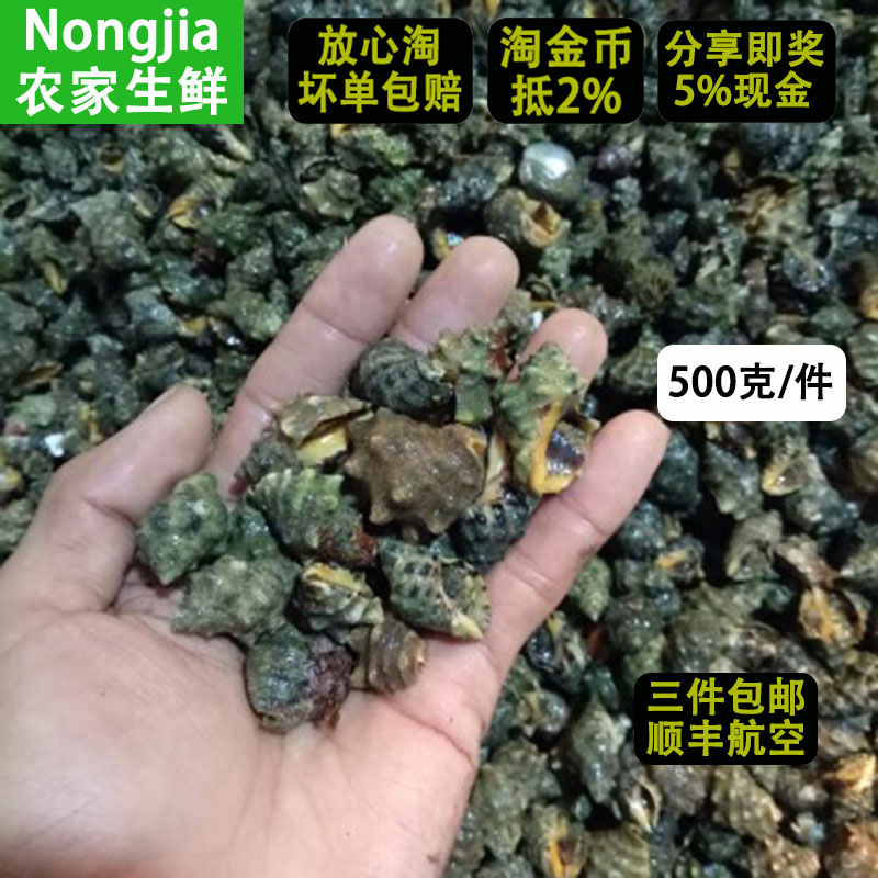 【不鲜包赔】无沙野生鲜活苦螺海螺辣螺海捕海鲜活体发货1斤在类目 水产肉类/新鲜蔬果/熟食, 海鲜/水产品/制品, 贝类, 贝类制品中 - 来自Buy2taobao.com提供专业的淘宝代购服务