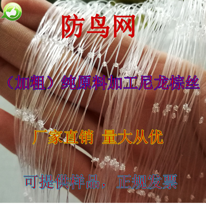 防鸟网厂家果园樱桃树鱼塘泥鳅养殖蜻蜓网葡萄网尼龙网爬藤网免邮在类目 鲜花速递/花卉仿真/绿植园艺, 园艺用品, 其它园艺用品中 - 来自Buy2taobao.com提供专业的淘宝代购服务
