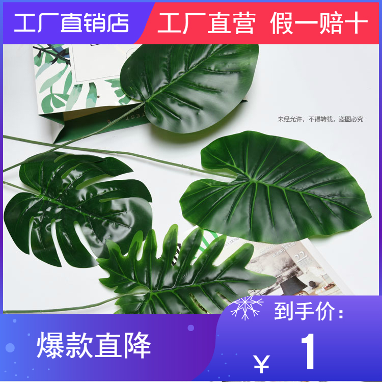 仿真绿植单片绿色叶子森系婚礼插花引路花网红花墙仿真单片龟背叶|msdalam kategori Aksesori rumah, pasu/bunga/bunga tiruan/perhiasan imitasi, bunga tiruan/bunga tiruan - dari Buy2taobao.com untuk memberikan perkhidmatan ejen Taobao profesional membeli
