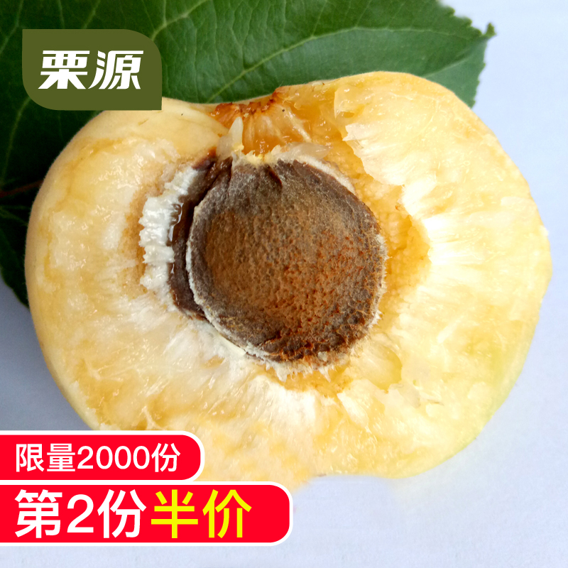 【栗源】娘娘庄大香白杏整箱装新鲜水果 现摘现发 树下直销|msdalam kategori daging perikanan/Buah-buahan segar dan sayur-sayuran/dimasak, buah-buahan segar, lain - dari Buy2taobao.com untuk memberikan perkhidmatan ejen Taobao profesional membeli
