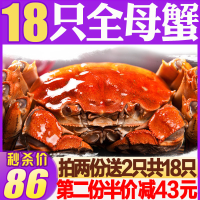 大闸蟹螃蟹鲜活 大闸蟹鲜活螃蟹鲜活大闸蟹 大闸蟹全母特大蟹