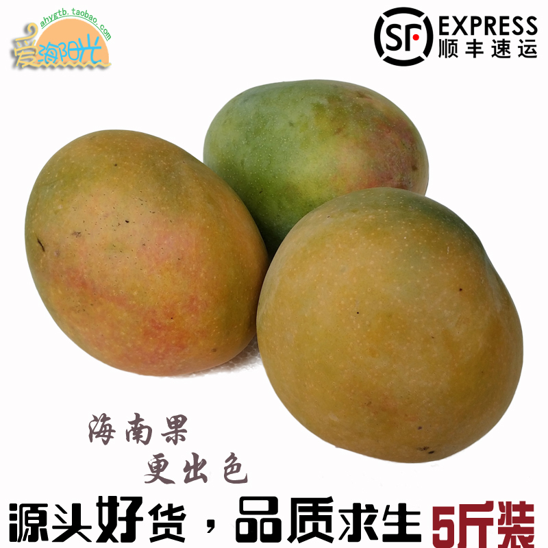 海南澳芒新鲜水果现摘现发大青皮芒果时令超甜多汁热带水果5斤装在类目 水产肉类/新鲜蔬果/熟食, 新鲜水果, 芒果中 - 来自Buy2taobao.com提供专业的淘宝代购服务