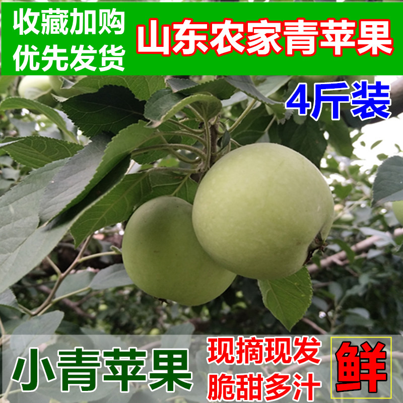 山東農家現摘新鮮蘋果青蘋果水果孕婦兒童水果蘋果伏果4斤包郵在類目 水產肉類/新鮮蔬果/熟食, 新鮮水果, 蘋果中 - 來自Buy2taobao.com提供專業的淘寶代購服務