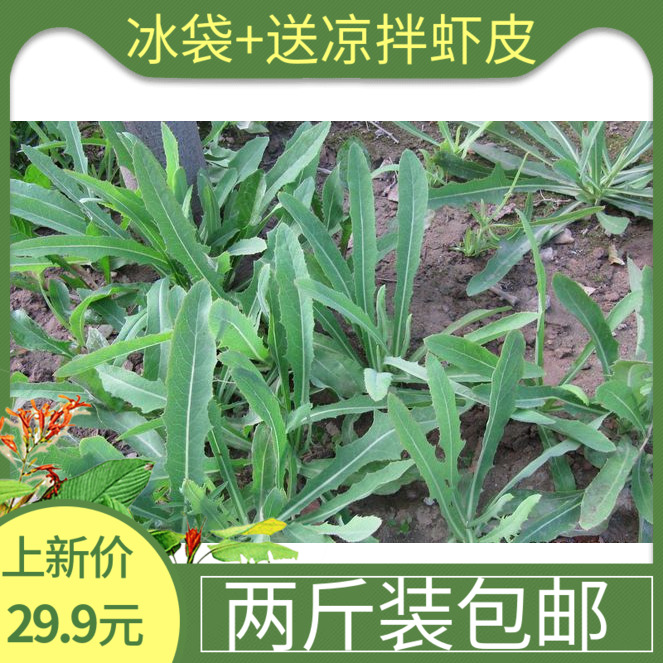 新鲜 曲麻菜 两斤连云港野生山菜蘸酱菜山野菜苦菜曲曲菜子麻子菜在类目 水产肉类/新鲜蔬果/熟食, 新鲜蔬菜/蔬菜制品, 新鲜蔬菜, 其它中 - 来自Buy2taobao.com提供专业的淘宝代购服务