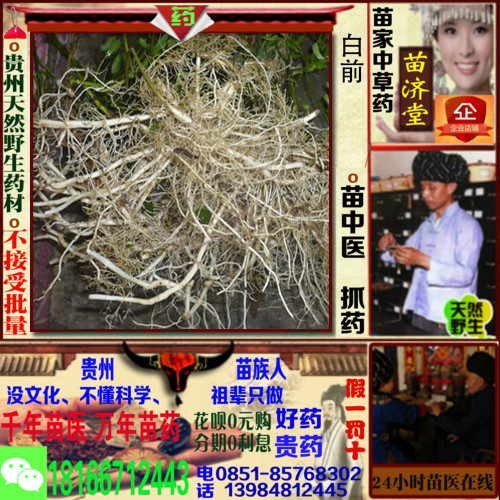 Goose tube White ago Guizhou Miao Chinese herbal medicine Tonic Chinese herbal medicines chinese medicine Hmong Fill a prescription Dispense bulkin the Traditional nourishing food , Medicinal and Edible Food , Other Medicinal and Edible Food category - from Buy2taobao.com to provide professional Taobao agent buy service