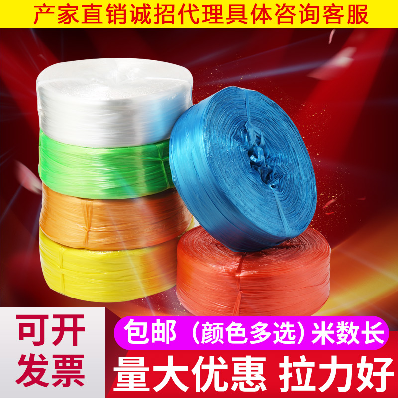 彩色打包绳捆绑带塑料绳子尼龙捆扎包装绳扎口草球绳撕裂膜包邮在类目 鲜花速递/花卉仿真/绿植园艺, 园艺用品, 打草绳等其他绳子中 - 来自Buy2taobao.com提供专业的淘宝代购服务