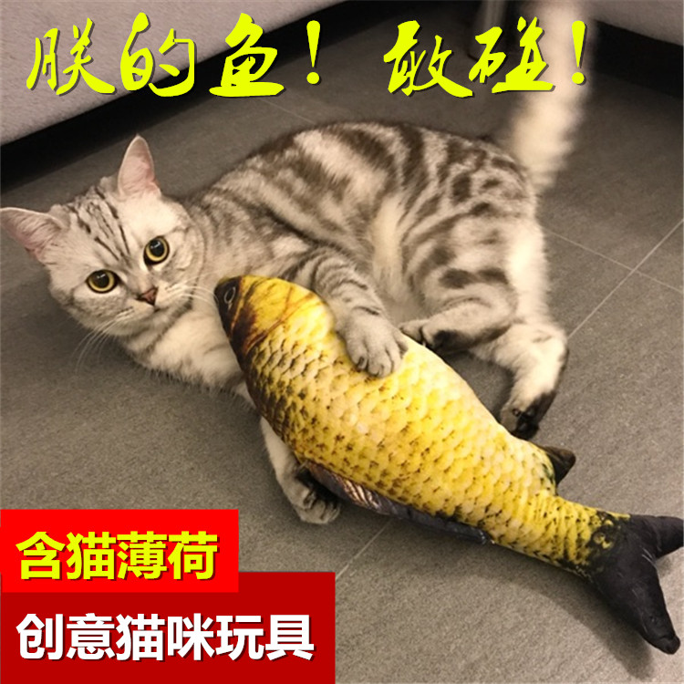 含猫薄荷の猫咪玩具 逗猫玩具仿真鱼猫抱枕草鱼宠物毛绒鱼玩具|msdalam kategori haiwan peliharaan/makanan haiwan dan bekalan, Cat/Mainan anjing, mainan bunyi - dari Buy2taobao.com untuk memberikan perkhidmatan ejen Taobao profesional membeli