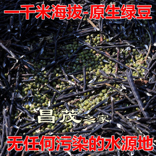 海拔1000米梯田自产绿豆高山农家绿豆豆浆豆煲粥豆磨粉绿豆在类目 粮油米面/南北干货/调味品, 米/面粉/杂粮, 豆类, 其它中 - 来自Buy2taobao.com提供专业的淘宝代购服务