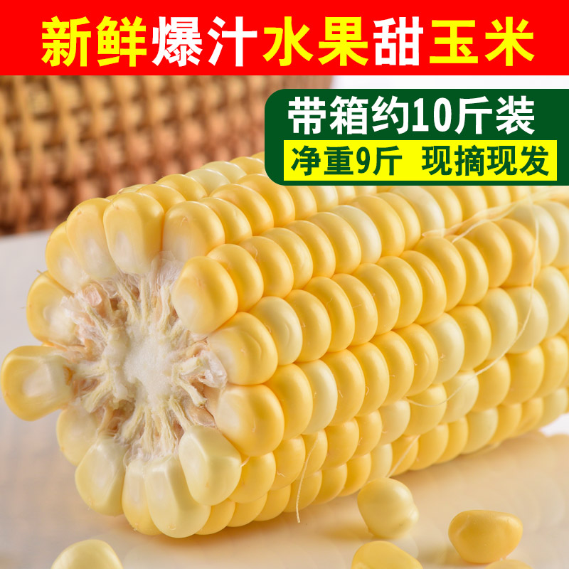 水果玉米甜玉米新鮮玉米棒即食生吃蔬菜現摘現發10斤包郵在類目 水產肉類/新鮮蔬果/熟食, 新鮮蔬菜/蔬菜製品, 新鮮蔬菜, 新鮮玉米中 - 來自Buy2taobao.com提供專業的淘寶代購服務