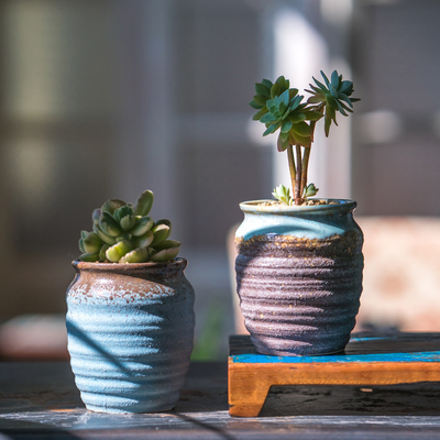 多肉花盆陶瓷粗陶创意简约绿多肉创意复古小老桩植物多肉盆