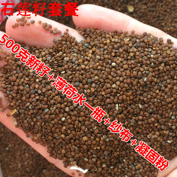 木莲籽 冰木莲籽粉 白凉粉籽石莲豆腐粉冰粉籽套餐500G包邮在类目 粮油米面/南北干货/调味品, 南北干货/肉类干货, 干货/土特产, 其它中 - 来自Buy2taobao.com提供专业的淘宝代购服务