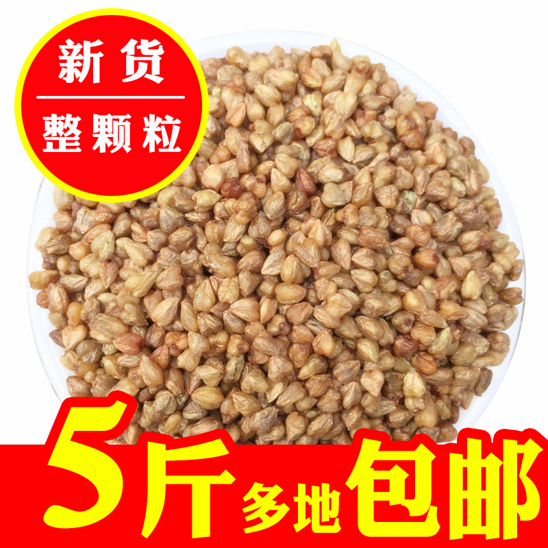 黑苦荞米包邮四川凉山特产黑珍珠胚芽米苦荞麦米杂粮米荞米新碾米在类目 粮油米面/南北干货/调味品, 米/面粉/杂粮, 其它粮食中 - 来自Buy2taobao.com提供专业的淘宝代购服务