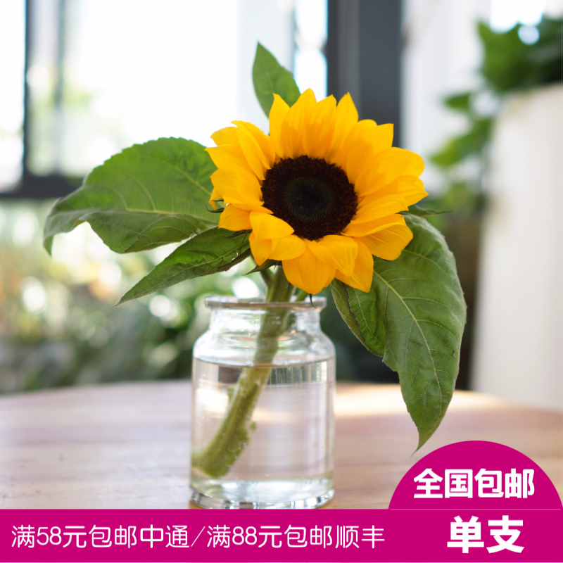 【鲜花超市随心购】向日葵鲜花单支向日葵太阳花鲜花速递空运到家|ruв категории доставка цветов/цветок моделирования/растения садоводства, доставка цветов (город) - от Buy2taobao.com для оказания профессиональной услуги покупки агента Taobao