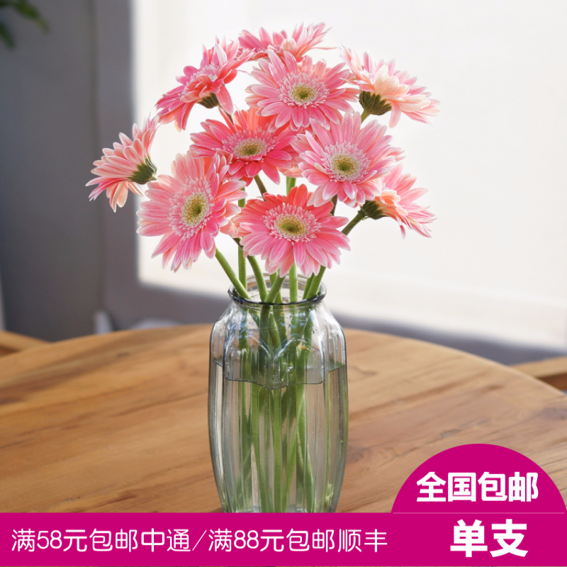 【鲜花超市随心购】非洲菊扶郎花太阳花5只在类目 鲜花速递/花卉仿真/绿植园艺, 鲜花速递(同城)中 - 来自Buy2taobao.com提供专业的淘宝代购服务