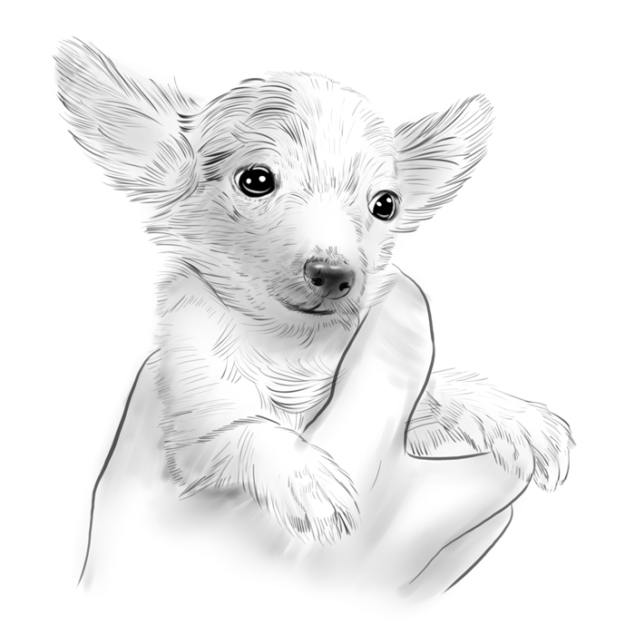 character animal Landscape design LOGO Typeface tattoos mobile phone wallpaper Screensaver Hand drawn source material draw Illustration designin the Business affairs/Design Services, Design Services, Cartoon/Comic/Illustration design category - from Buy2taobao.com to provide professional Taobao agent buy service