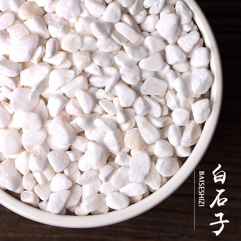 园艺白石子鹅卵石雨花石多肉营养土栽培水培花卉鱼缸装饰在类目 鲜花速递/花卉仿真/绿植园艺, 园艺用品, 其它园艺用品中 - 来自Buy2taobao.com提供专业的淘宝代购服务