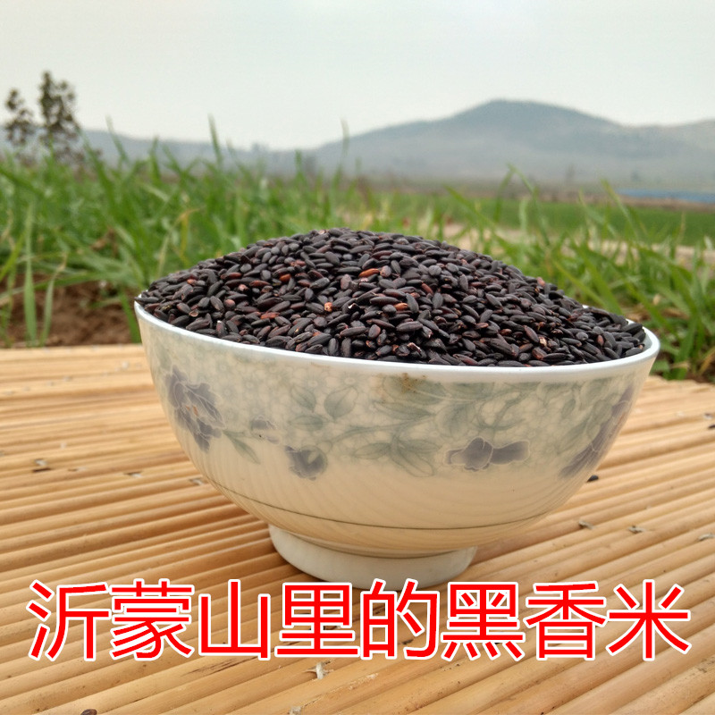 沂蒙山新货农家黑米黑香米无染色五谷杂粮粗粮粥500g早餐粥在类目 粮油米面/南北干货/调味品, 米/面粉/杂粮, 米类, 黑米中 - 来自Buy2taobao.com提供专业的淘宝代购服务