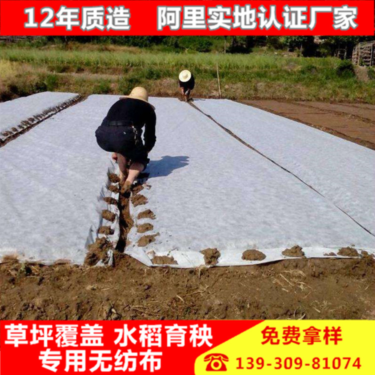 Agriculture Non-woven fabric cloth Landscaping cover Geotextile Rice Raise rice seedlings grow seedlings Nonwoven Breathable filmin the Agricultural Machinery/Farm tools/Plastic sheeting , Plastic sheeting/Tarpaulin/Network cover/Greenhouse , Agricultural film category - from Buy2taobao.com to provide professional Taobao agent buy service