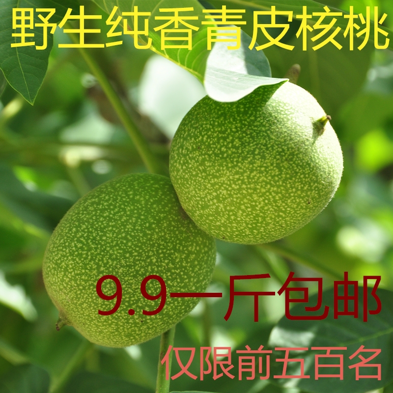Funiu Mountain 2018 Young Paper Mountain Walnut fresh Walnut Walnut Trees Walnut 5 Hot inin the Snacks/Nuts/Specialty , Hickory/Nuts/Roasting , Cardboard/Walnut category - from Buy2taobao.com to provide professional Taobao agent buy service