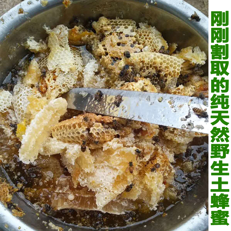 甘肃纯天然野生土蜂蜜采集野山党参野生黄芪当归中药材花蜜中锋蜜|ruв категории традиционные питательный пища, мед - от Buy2taobao.com для оказания профессиональной услуги покупки агента Taobao