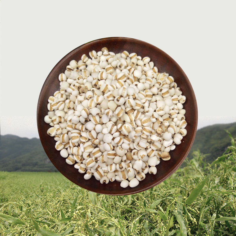 贵州薏米薏苡仁米仁炒薏米茶炒熟新货散装小粒薏米磨粉超值一千克|ruв категории зерно риса/север и Юг сухих грузов/приправы, метров/муки/зерновые, метров в категории, перловая крупа - от Buy2taobao.com для оказания профессиональной услуги покупки агента Taobao