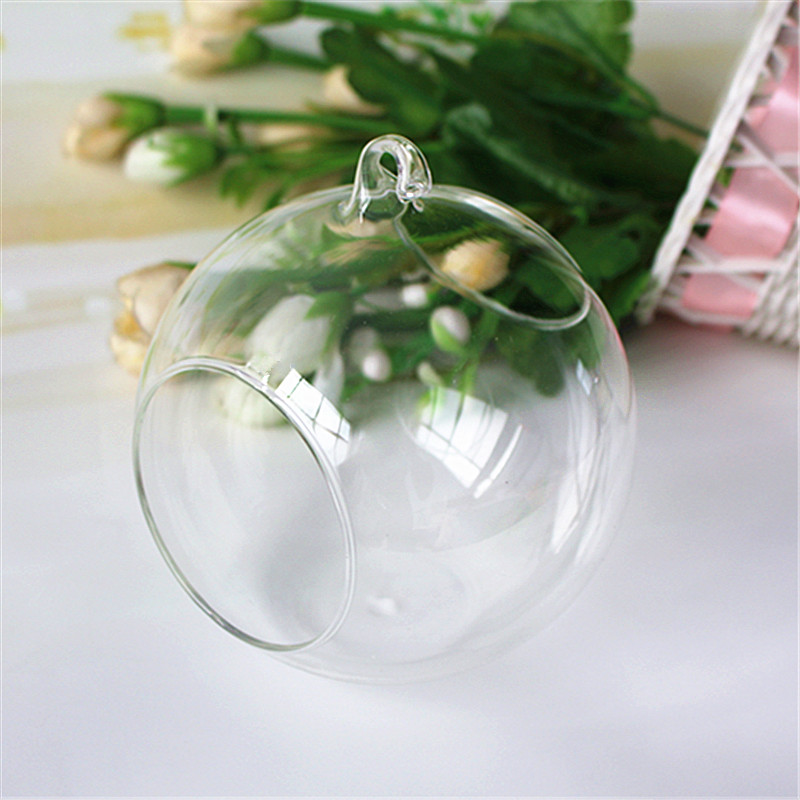 Opening moss and lichen Scenery Glass Eco-Bottle suspension Glass Bottle Succulent plants originality Wedding celebration Bottlein the Pet/Pet food and supplies , Aqua World , Aquarium fish tanks and other equipment , Eco-Bottle/Creative cylinder/Desktop micro-cylinder category - from Buy2taobao.com to provide professional Taobao agent buy service