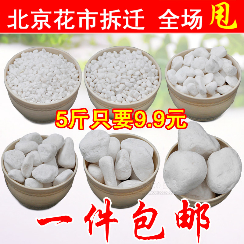 天然白石子小白玉石头多肉植物装饰花盆栽铺面鱼缸彩色抛光鹅卵石在类目 鲜花速递/花卉仿真/绿植园艺, 园艺用品, 其它园艺用品中 - 来自Buy2taobao.com提供专业的淘宝代购服务