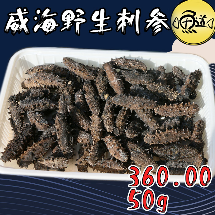 威海海鲜 野生刺参 海参 小石岛海参 威海纯淡干海参|msdalam kategori daging perikanan/Buah-buahan segar dan sayur-sayuran/dimasak, makanan laut/produk akuatik/produk, gamat - dari Buy2taobao.com untuk memberikan perkhidmatan ejen Taobao profesional membeli