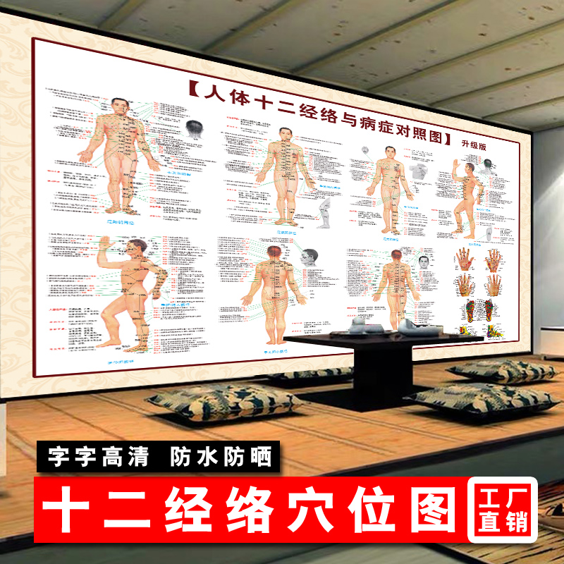 身体人体标准十二经络穴位图大挂图全身中医养生家用按摩挂画高清|msdalam kategori adat peribadi/Design Services/DIY, setiap hari/adat hiasan, photo/percetakan poster - dari Buy2taobao.com untuk memberikan perkhidmatan ejen Taobao profesional membeli
