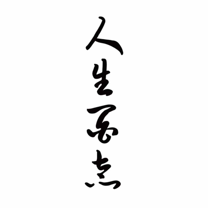 格艾菲纹身果汁模板t204中国风汉字人生百态半永久纹身贴镂空模版