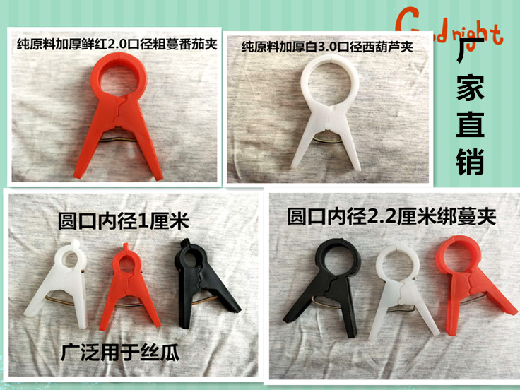 1000黃瓜 西紅柿 番茄 綁蔓夾子 吊秧夾 扶蔓夾 落秧夾 大棚專用在類目 鮮花速遞/花卉仿真/綠植園藝, 園藝用品, 其它園藝用品中 - 來自Buy2taobao.com提供專業的淘寶代購服務