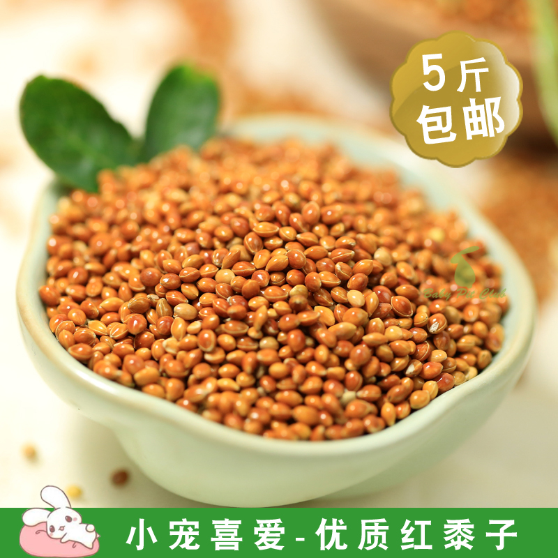 Millet Chestnut millet dove Hamster Food snacks birdseed Bird food Birds feed pillow Pillow core 250gin the Pet/Pet food and supplies , Birds and supplies , Bird food category - from Buy2taobao.com to provide professional Taobao agent buy service