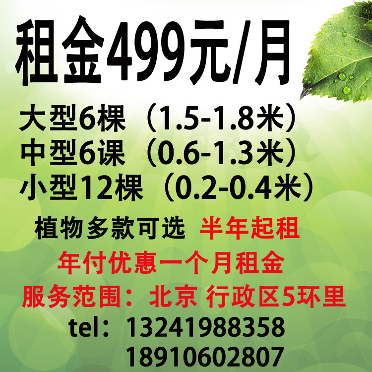 北京绿植租摆 花卉租赁 盆栽养护送货 丰台区花卉公司 绿植速递|ruв категории доставка цветов/цветок моделирования/растения садоводства, разработка услуг садоводства - от Buy2taobao.com для оказания профессиональной услуги покупки агента Taobao