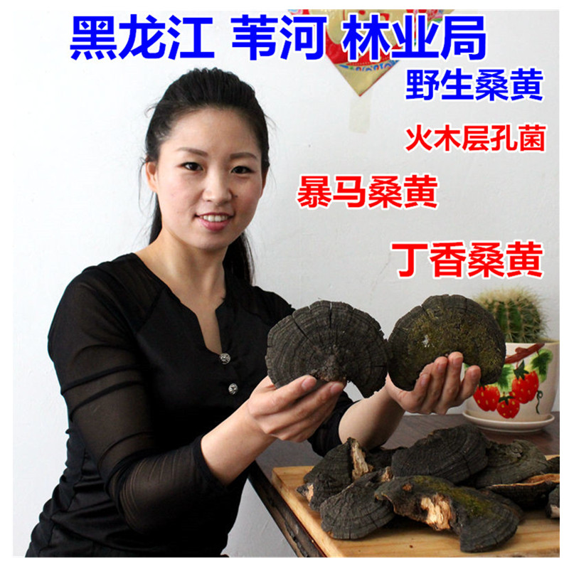 Changbai wild Fleckedflesh Polypore Ganoderma lucidum Amurlilac Fleckedflesh Polypore Powell Syringa reticulata Fleckedflesh Polypore 250gin the Traditional nourishing food , Ganoderma , Pruning Ganoderma category - from Buy2taobao.com to provide professional Taobao agent buy service