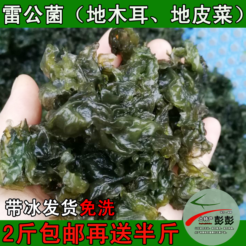 fresh Wild wild Wetlands Land Vegetable plot Fungus Jingcai Thunder 500g Over 2 poundsin the Aquatic meat/Fresh fruits and vegetables/Cooked , Fresh vegetables/Vegetable products , Fresh vegetables , Other category - from Buy2taobao.com to provide professional Taobao agent buy service