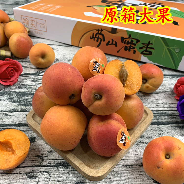崂山蜜杏一箱大果礼盒装甜蜜多汁大红杏新鲜黄杏子水果发顺丰在类目 水产肉类/新鲜蔬果/熟食, 新鲜水果, 其它中 - 来自Buy2taobao.com提供专业的淘宝代购服务