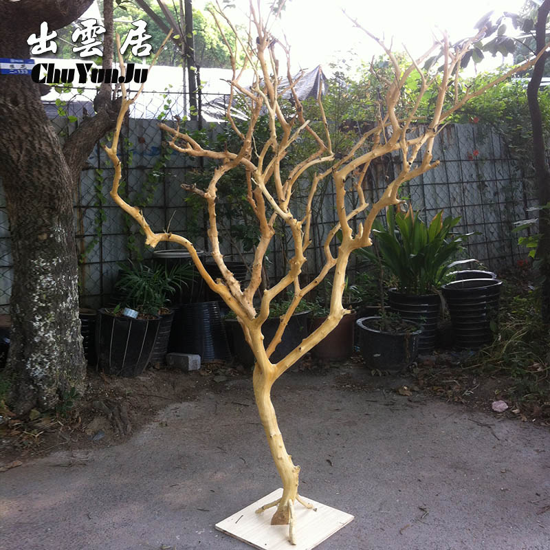 去皮剥皮天然树枝 原色白树枝树杆枯树枝许愿树 道具挂件树装饰树|msdalam kategori penghantaran bunga/bunga simulasi/tumbuhan berkebun, bunga tiruan/tumbuh-tumbuhan hijau/Buah-buahan dan sayur-sayuran siap (baru), tumbuhan simulasi - dari Buy2taobao.com untuk memberikan perkhidmatan ejen Taobao profesional membeli