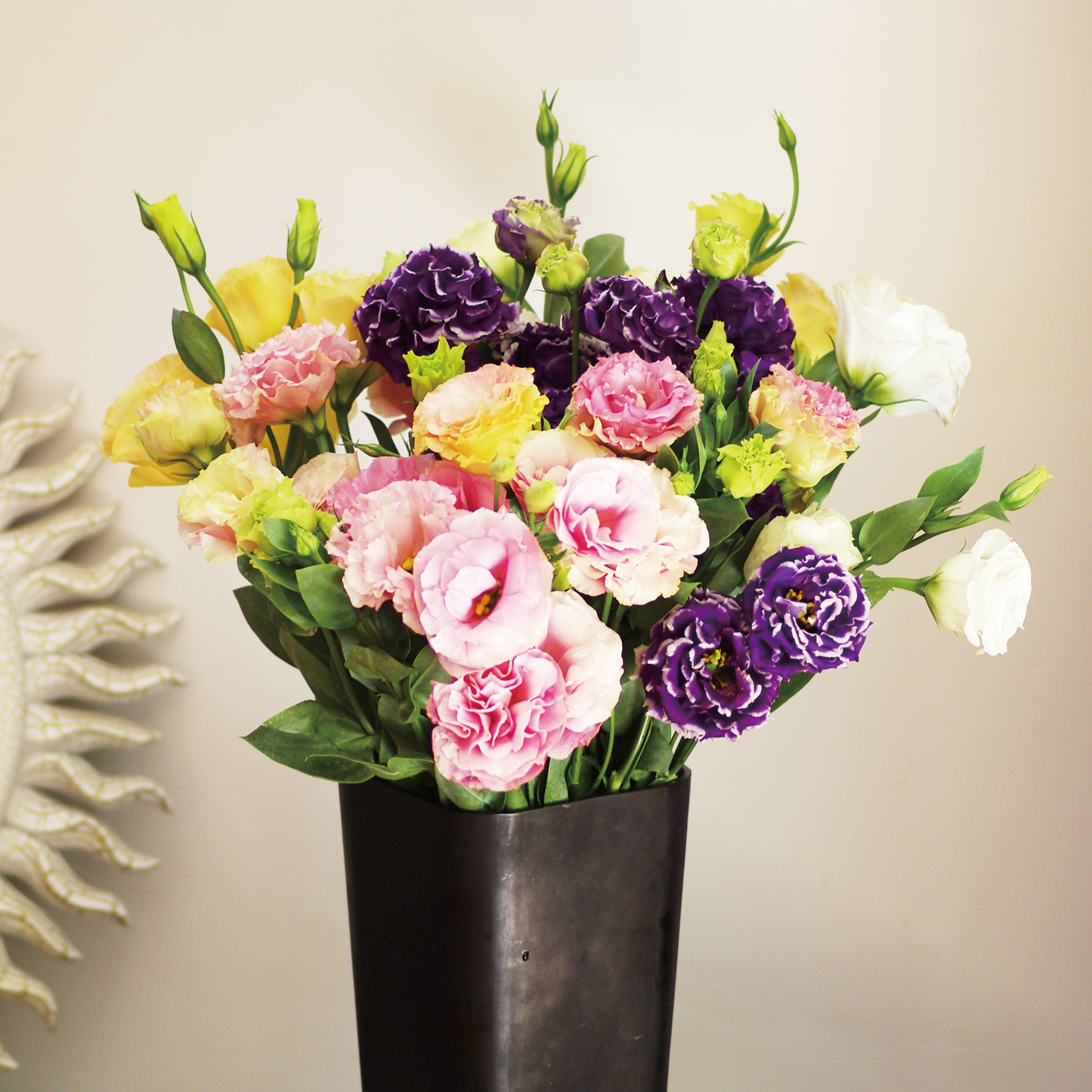 Eustoma grandiflorum Yunnan Kunming Fresh Cut Flowers Base Straight hair Wedding celebration Bouquet of flowers Water to keep household necessary Flower materialin the Flower delivery/Flowers simulation/Plants gardening , Flower delivery(City) category - from Buy2taobao.com to provide professional Taobao agent buy service