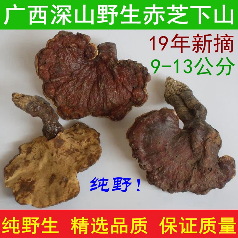 19年新摘廣西深山純野生靈芝 赤靈芝安神滋補泡茶煲湯9-13cm250克在類目 傳統滋補營養品, 靈芝, 整枝靈芝中 - 來自Buy2taobao.com提供專業的淘寶代購服務