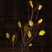 干枝干花客厅装饰枯树枝，装饰树叶装饰干枝树干，树枝树装饰天然干花