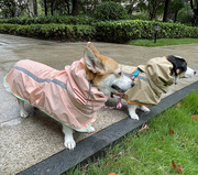 四季款潮流反光防风，防雨宠物狗雨衣大型犬金毛，柴犬雨披防水衣