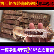 皮皮虾即食海鲜熟食带熟冻膏超大椒盐新海，濑尿虾爬子
