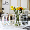 欧式现代简约束口玻璃花瓶，小口鲜花富贵竹插花装饰摆件餐桌玄关