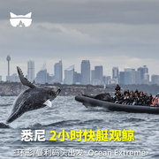 懒猫旅行 澳洲旅游悉尼观鲸快艇观鲸ocean extreme观鲸 环形码头